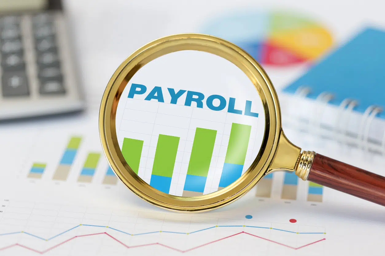 Payroll Solutions - BlueStone Services LLC