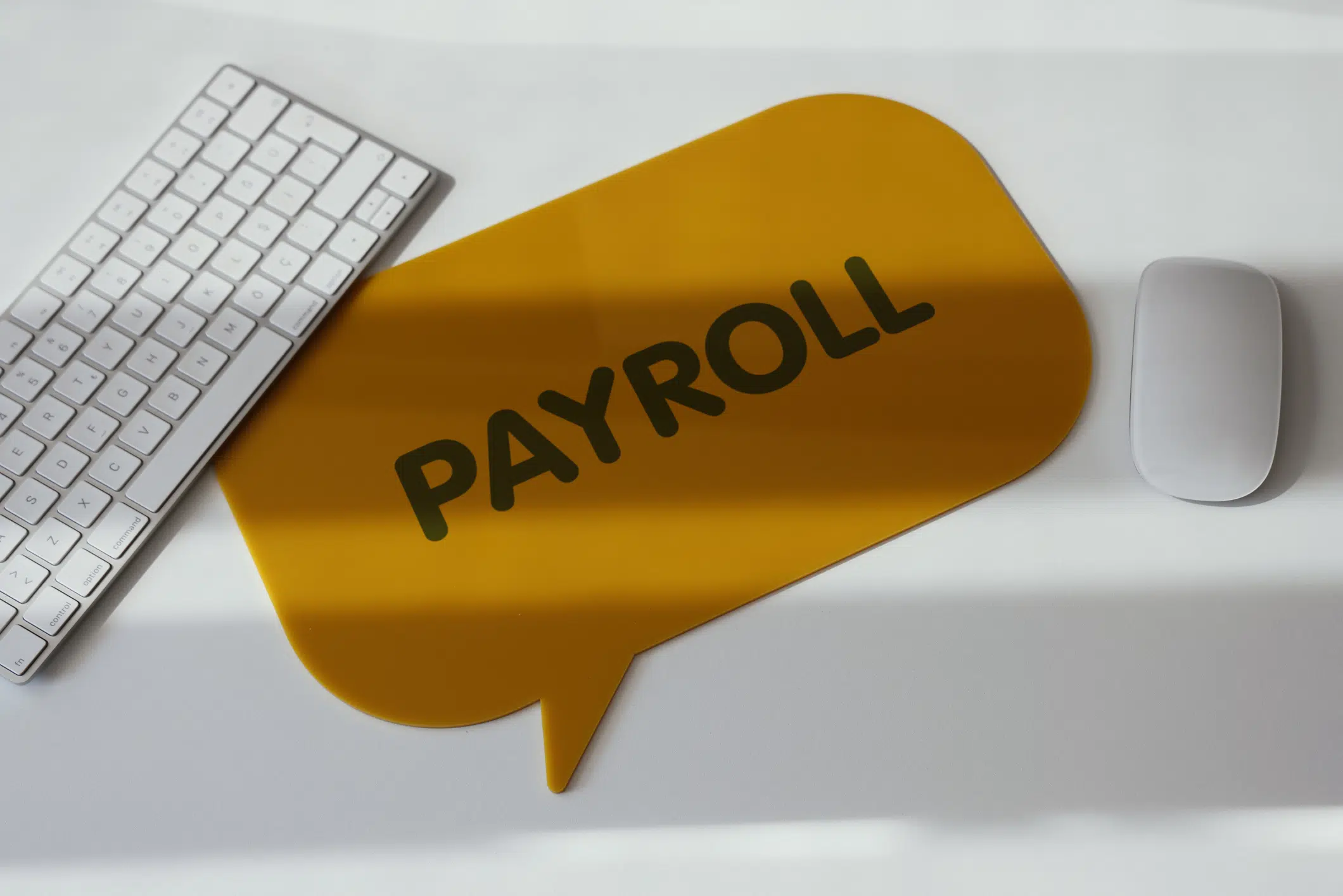 Improve your payroll audits with automation
