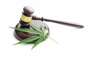 How to Manage Maryland’s New Cannabis Laws - BlueStone Services, LLC 