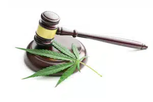 How to Manage Maryland’s New Cannabis Laws - BlueStone Services, LLC 